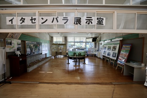 ひみラボ水族館-13