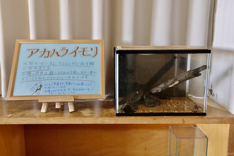 くにみクラゲ公民館-22