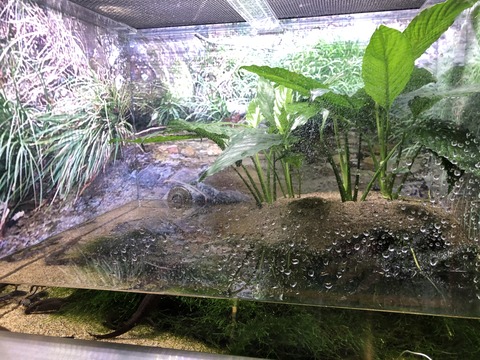 ぎょぎょランド-12