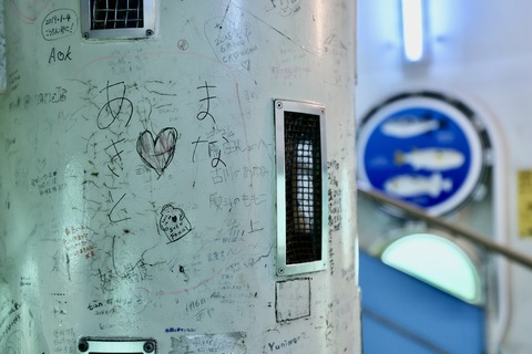 白浜海中展望塔-20