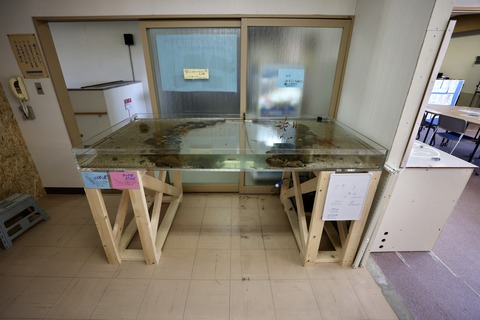 くにみクラゲ公民館-20