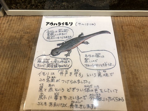 中池見 人と自然のふれあいの里-12