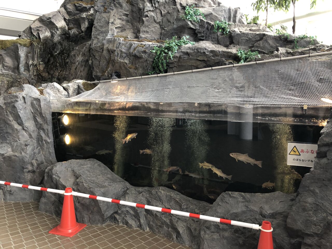 愛知県 メタウォーター下水道科学館あいち 主食は水族館です