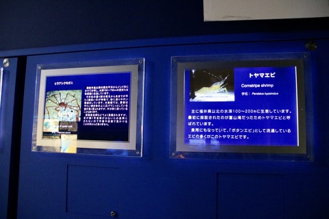 名古屋港 カイロウドウケツ-5