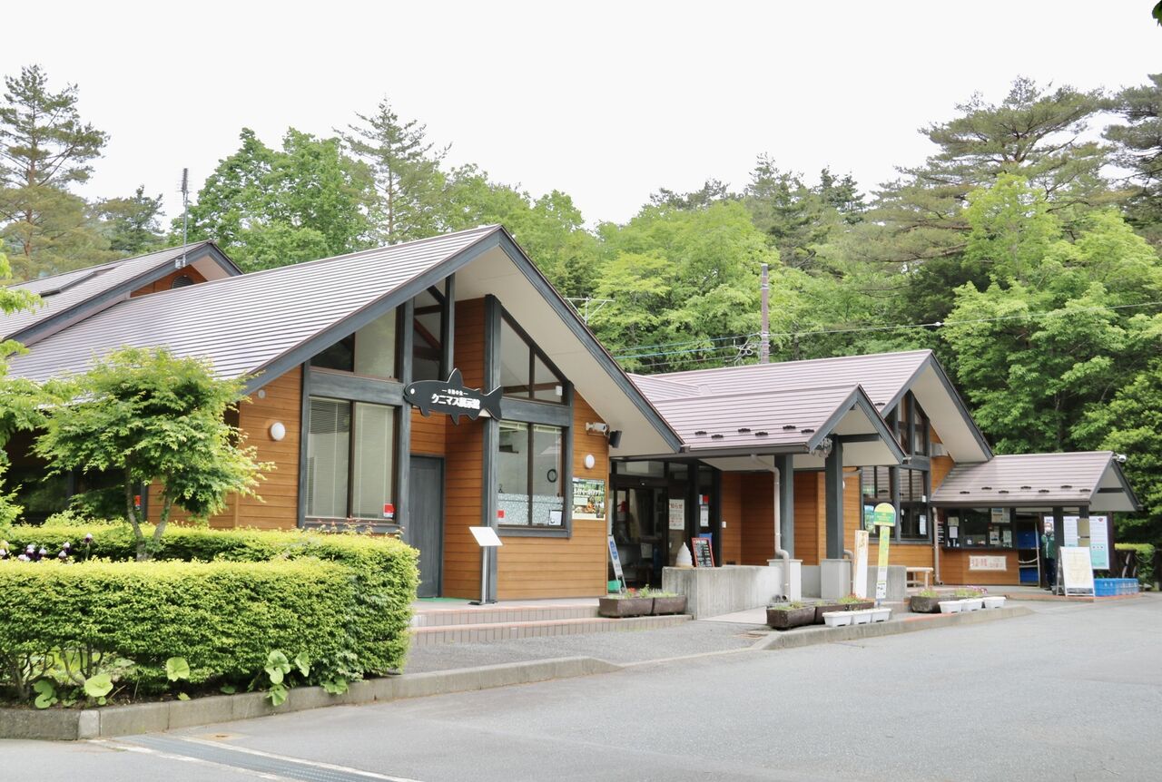 山梨県 西湖ネイチャーセンター クニマス展示館 主食は水族館です