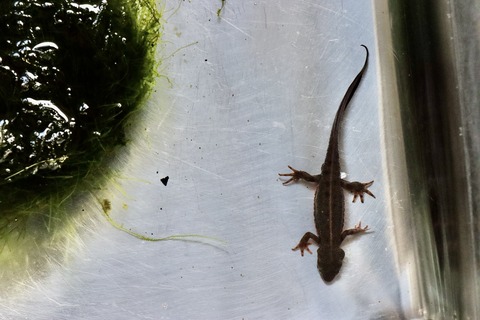 きんたい廃校博物館-32