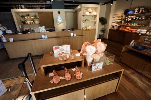 みなとやま水族館-3