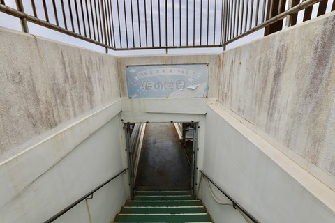 白浜海中展望塔-7