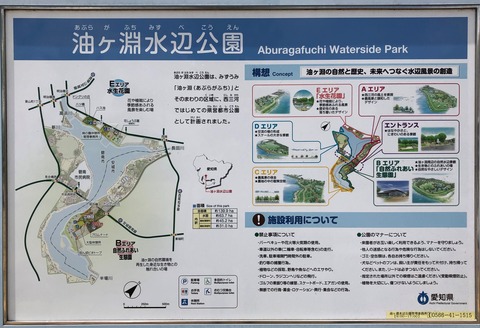 油ヶ淵水辺公園-101