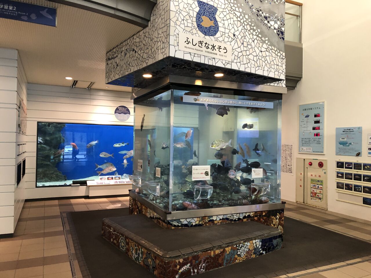 (福井県)福井県海浜自然センター 主食は水族館です (福井県)福井県海浜自然センター 主食は水族館です