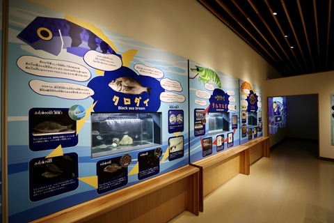 富山県栽培漁業センター-8