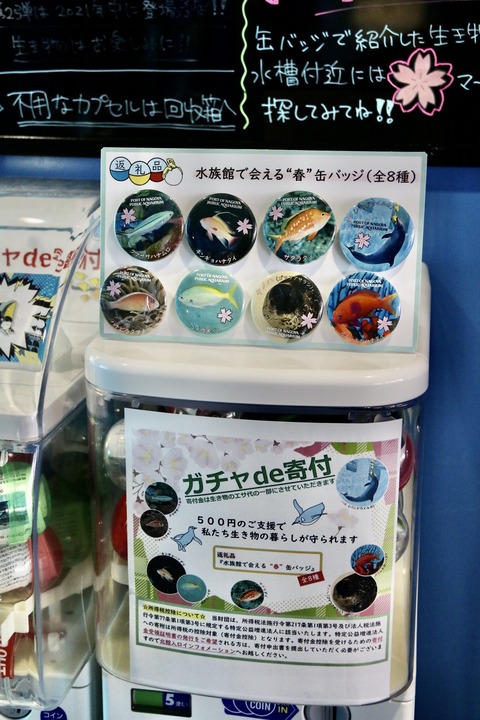 名古屋港水族館のガチャde寄付を回してきました～ : 主食は