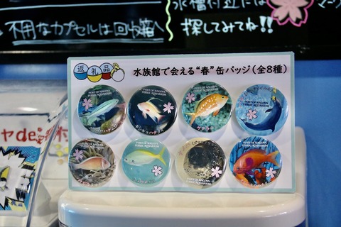 名古屋港水族館 ガチャde寄付-4