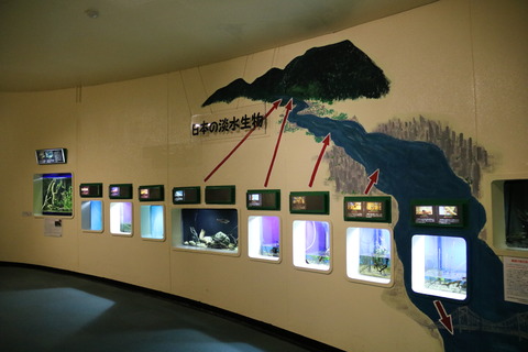 新屋島水族館-15