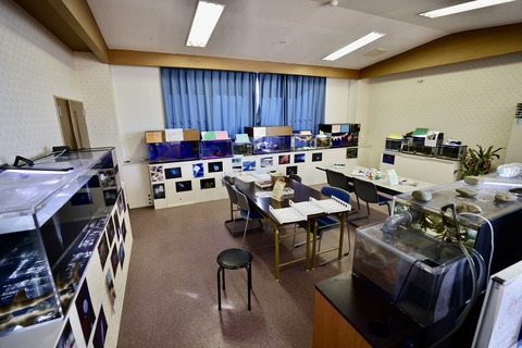 くにみクラゲ公民館-27