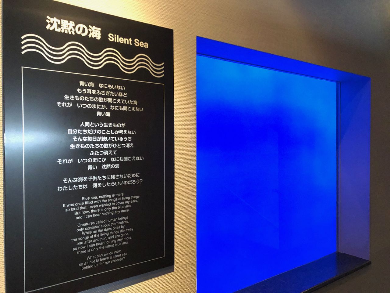 30dayaquariumchallenge にチャレンジ 主食は水族館です 30dayaquariumchallenge にチャレンジ 主食は水族館です