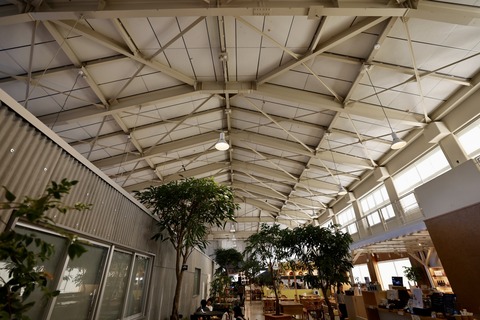 みなとやま水族館-38