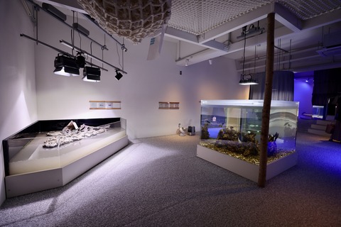 みなとやま水族館-23