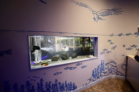 えきまちテラス長浜 小さなびわ湖水族館-6