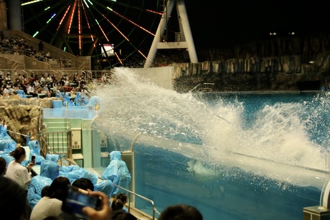 名古屋港 ナイトアクアリウム2021-8