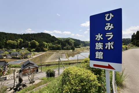 ひみラボ水族館-2
