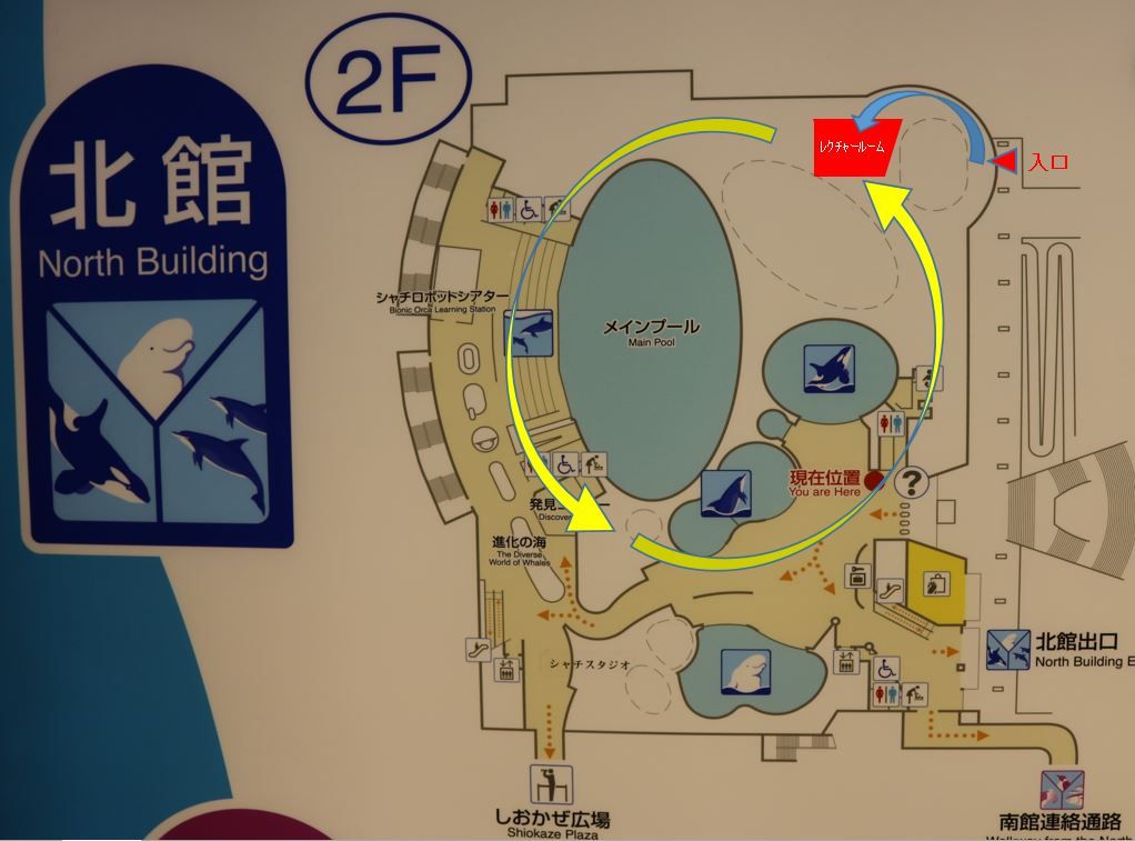 名古屋港水族館 君もドリトル先生になれるか に参加しました 主食は水族館です