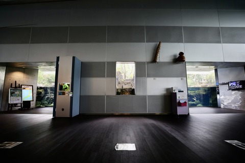 なかがわ水遊園-16