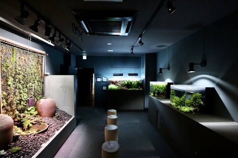 みなとやま水族館-17