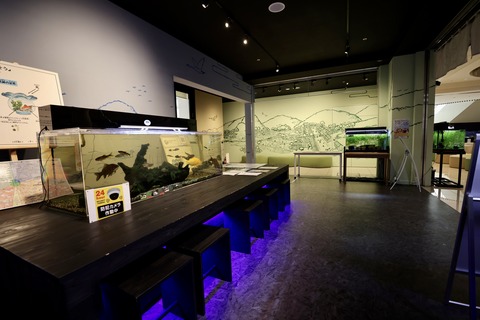 えきまちテラス長浜 小さなびわ湖水族館-12