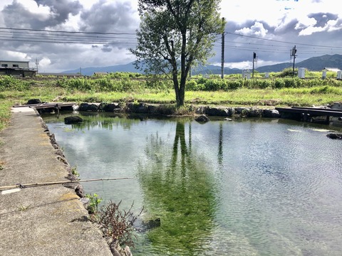 矢道ハリヨの池広場-2