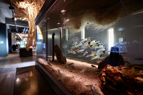 みなとやま水族館-35