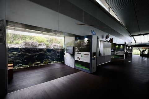 なかがわ水遊園-9