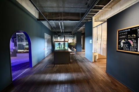 みなとやま水族館-4