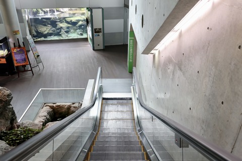 なかがわ水遊園-6