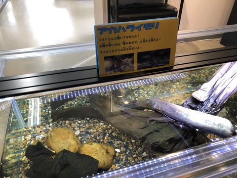 土岐川観察館-7