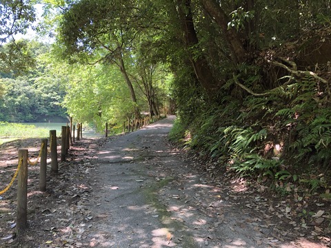 自然児童遊園 ねむの森-16