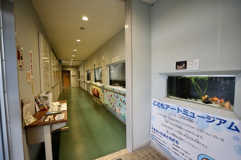 山方自然生態観察施設淡水魚館-2