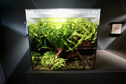 みなとやま水族館-18