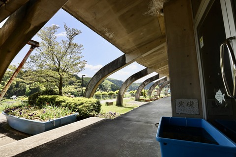 ひみラボ水族館-21
