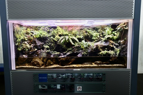 なかがわ水遊園イモリ-2