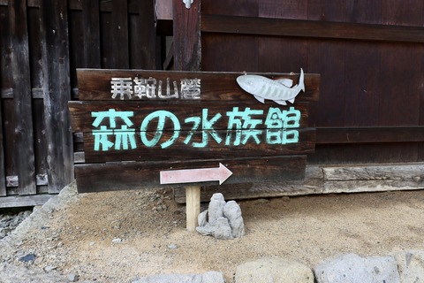 匠の館 森の水族館-10