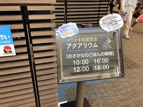 稲沢ドンキ水槽-3