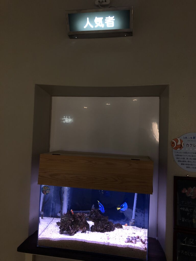 京都府 関西電力 宮津エネルギー研究所 丹後魚っ知館 主食は水族館です 京都府 関西電力 宮津エネルギー研究所 丹後魚っ知館 主食は水族館です