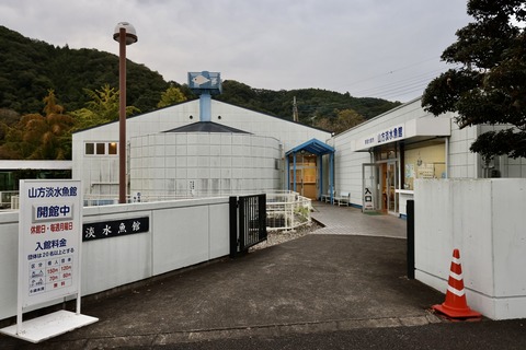 山方自然生態観察施設淡水魚館-1