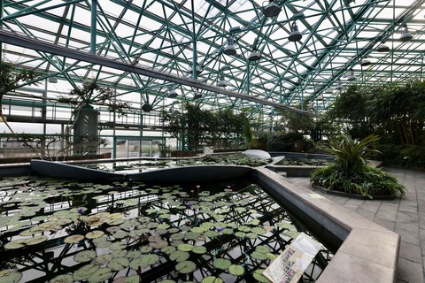 草津市立水生植物公園 みずの森-11