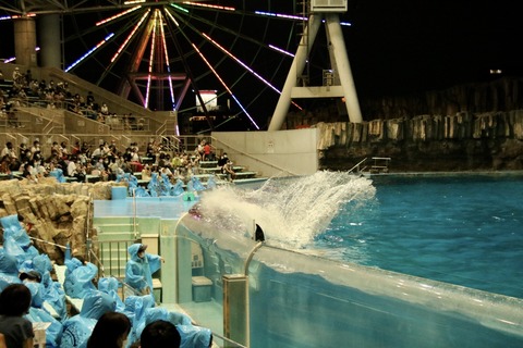 名古屋港 ナイトアクアリウム2021-11