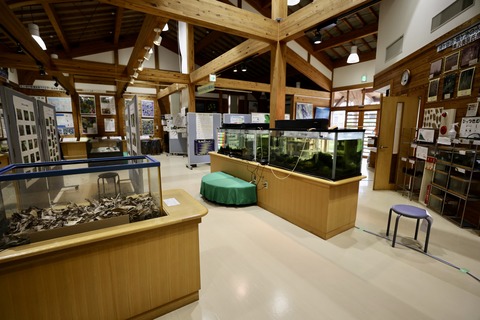 桶ケ谷沼ビジターセンター-6