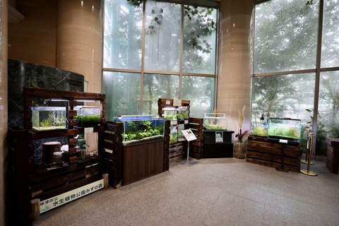 草津市立水生植物公園 みずの森-3