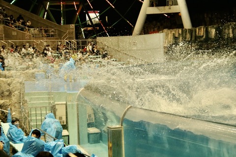 名古屋港 ナイトアクアリウム2021-9