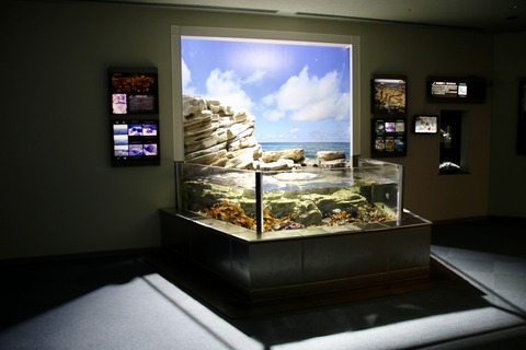 名古屋港 ナイトアクアリウム2021-30